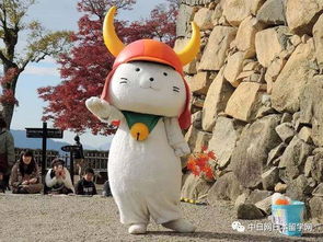 多邻国吉祥物猫头鹰的离世，一段难忘的旅程