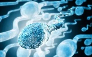 27岁男子精子畸形率高达98%背后的真相与应对策略
