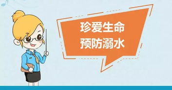 家庭安全警钟长鸣——破解摄像头背后的隐私危机