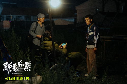 韩国新电影哈尔滨，文化碰撞与争议的交织