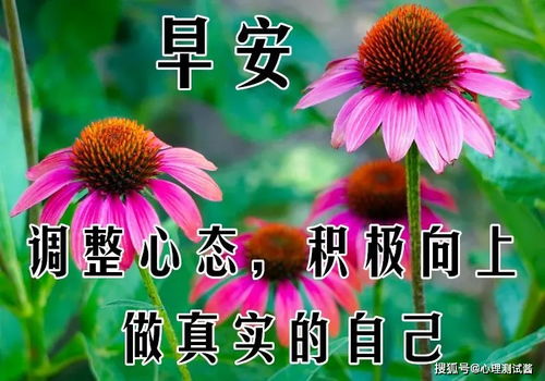春天的来信，一封温暖的问候