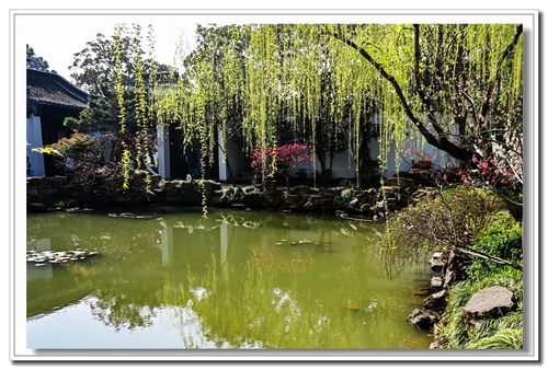 烟花三月下扬州，具象化后的美丽画卷
