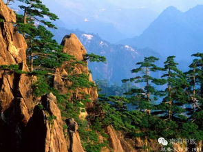 男子杭州太子山意外邂逅黄山奇景