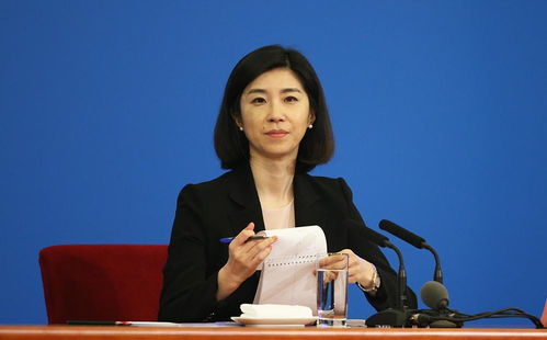 新篇章启航——刚履新的她亮相外交部记者会