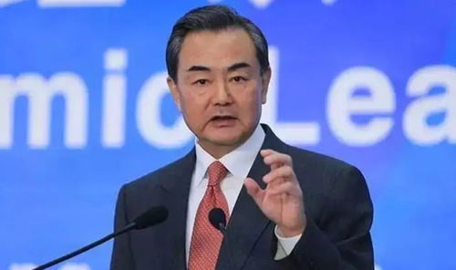 非洲之行，一包米引来王毅的点名