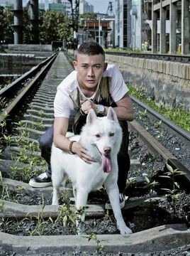 男子为爱犬打造敖闰造型，瞬间变身气质龙