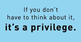 privilege,privilege是什么意思