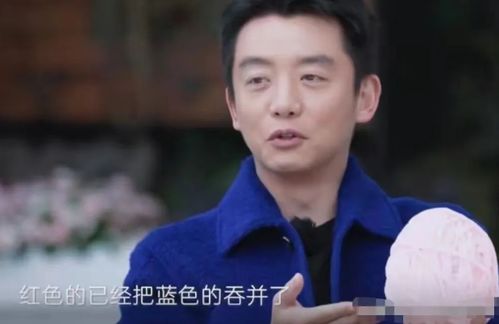 郑恺苗苗新别墅大到找人都要打电话