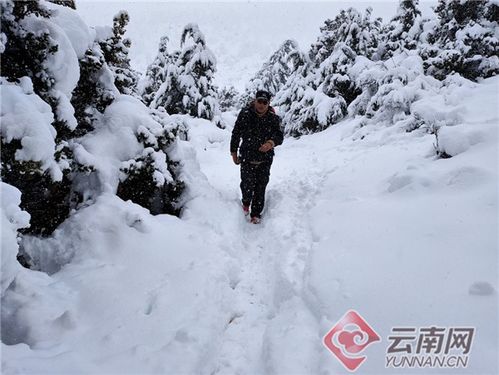 东北三月末飘起鹅毛大雪