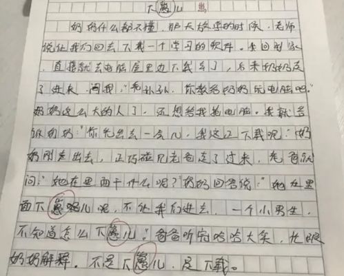 初中女生一篇作文带火内蒙老家