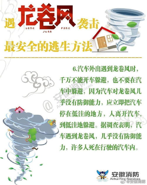 失踪的清华毕业生罗生门已身亡
