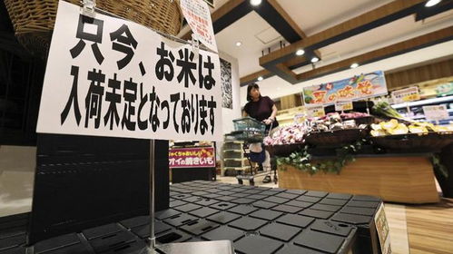 日本食其家近两千家门店停业整顿