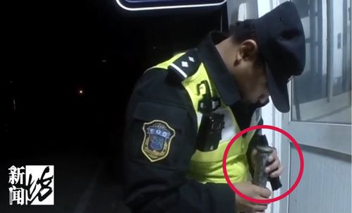 甲亢哥水灵灵地被深圳交警警告了