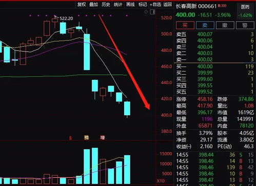 刘纪鹏：A股不惧美股暴跌