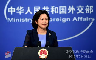 外交部：美从未停止对中国的间谍活动