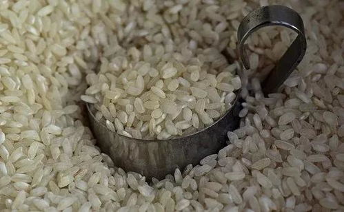 5吨大米淘500克金米被指浪费粮食