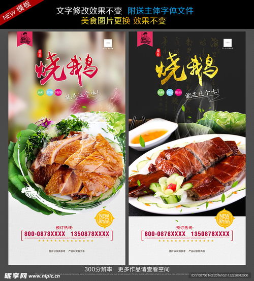 烧鹅设计效果图欣赏