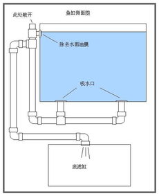 虹吸鱼缸过滤设计方案怎么写 虹吸鱼缸过滤设计方案 