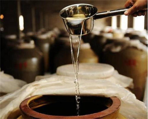 调味酒的设计方案图 调味酒的设计方案图片大全 