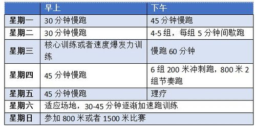 中长跑作业设计方案 中长跑训练计划方案 