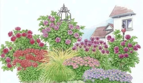 花境比赛设计方案图片大全,花境比赛设计方案图 花境比赛设计方案图片大全,花境比赛设计方案图