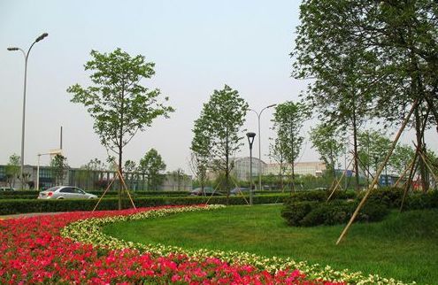 绿化景观图片设计方案范本大全，打造美丽舒适的绿色环境