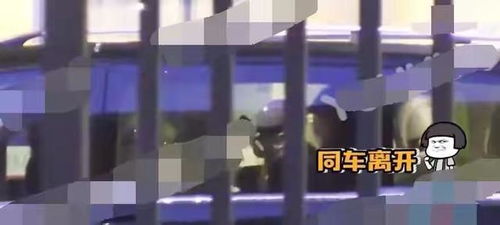 虚拟世界中的爱情角逐，手机女友市场的发展与挑战