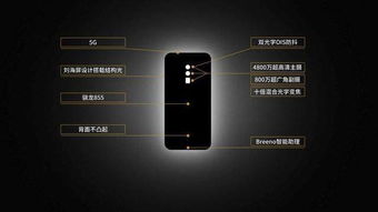 小米韩国，创新与品质的完美结合 ，小米韩国，创新与品质的完美结合的未来展望