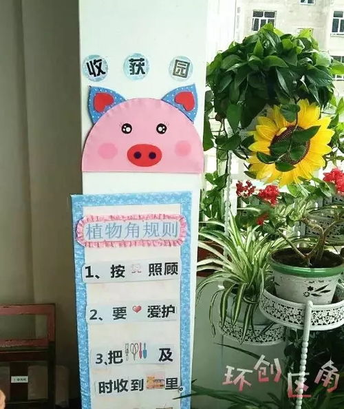 生物角温馨布置图片