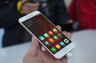 小米5c联通4g，卓越性能与超值价格的完美结合 ，小米5c，联通4G版，卓越性能与超值价格的完美结合
