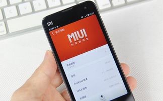 小米恢复键，一键找回失落的流畅体验 ，小米恢复键，重拾失落的流畅体验的关键工具