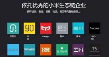 小米众筹怎么 ，小米众筹，轻松实现你的创新产品梦想