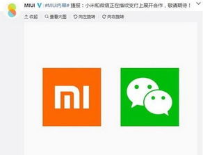 小米支付在哪 ，小米支付在哪里?