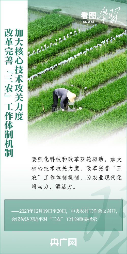 小米农夫，传统农业与现代科技的完美结合 