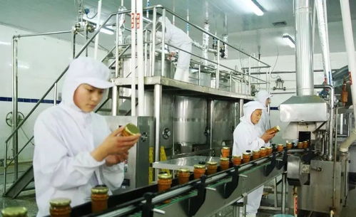 全面解析，如何检验小米的真伪与品质 ，全面解析，如何检验小米的真伪与品质