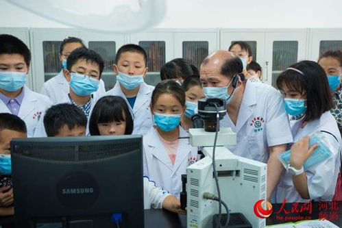 新疆小米公司，引领绿色科技，铸就品质生活 
