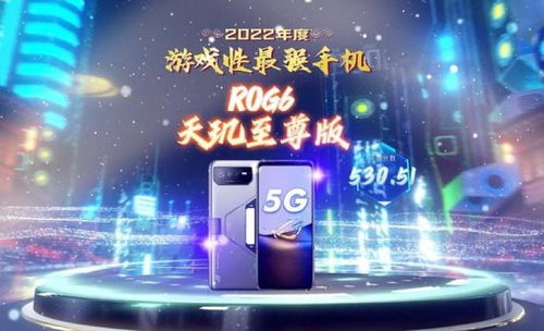 小米商店年度盛典，回顾与展望 ，小米商店年度盛典，回顾与展望的盛大庆典