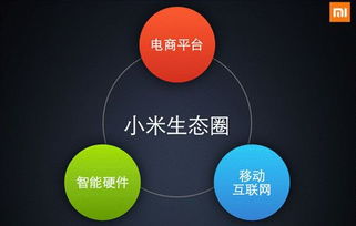 小米的付作用，深度解析与应对策略 ，小米的副作用，深度解析与应对策略