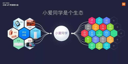 乐视与小米，科技巨头的竞争与共存 