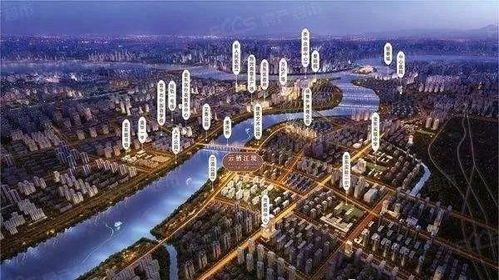 小钢炮小米，科技与品质的完美融合 