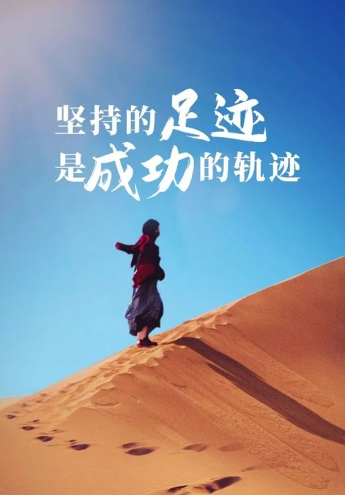 理想与小米，追梦之路的启示