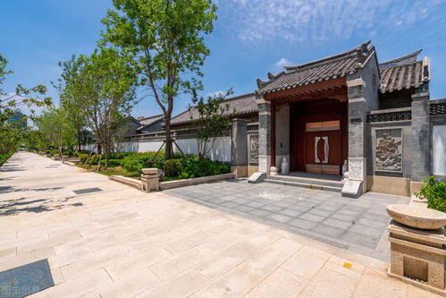 农村大门朝东的建筑设计与图片展示