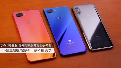 小米八指纹版，科技与美学的完美结合，小米八指纹版，科技与美学的巅峰融合