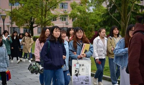 小米鉴别——探寻真实与优质的关键步骤