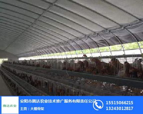自动化养殖大棚设计图片