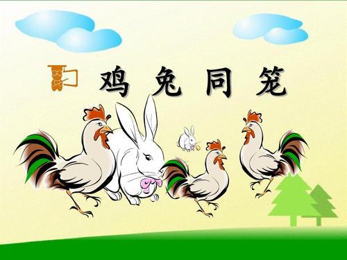 鸡兔同笼作业设计图片