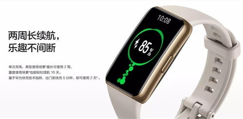 华为6运动手环功能介绍