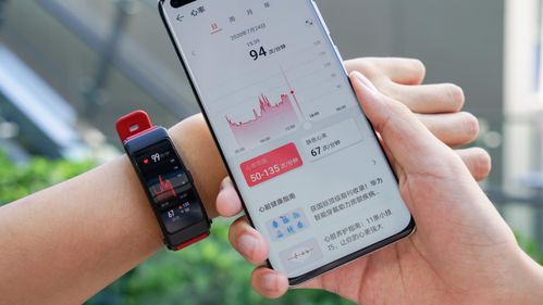 华为手环6与华为手机功能对比，华为手环6与华为手机功能对比，全面体验