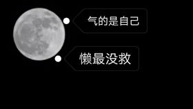 华为开机拍照功能详解，华为开机拍照功能揭秘