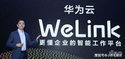 华为云团队功能介绍，华为云团队功能介绍，高效协作与智能服务